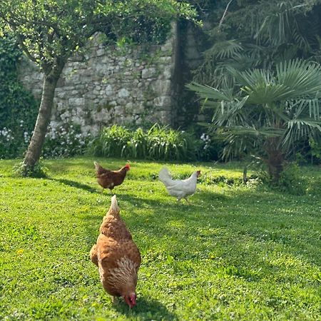 B&B Antico Fienile Gorizia Eksteriør bilde