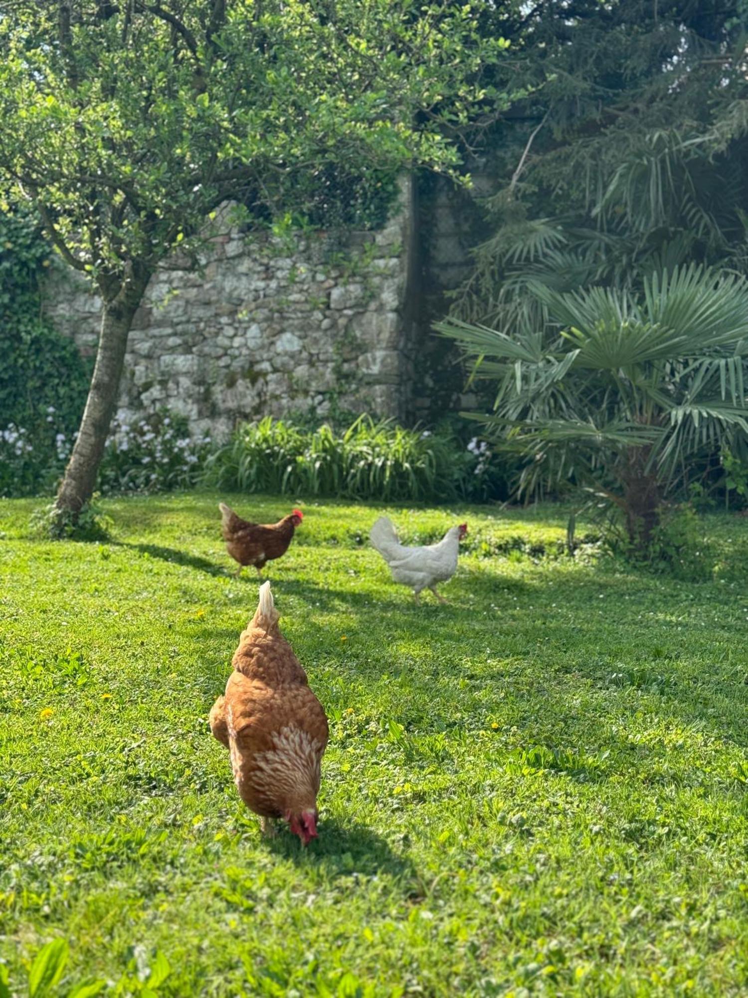 B&B Antico Fienile Gorizia Eksteriør bilde